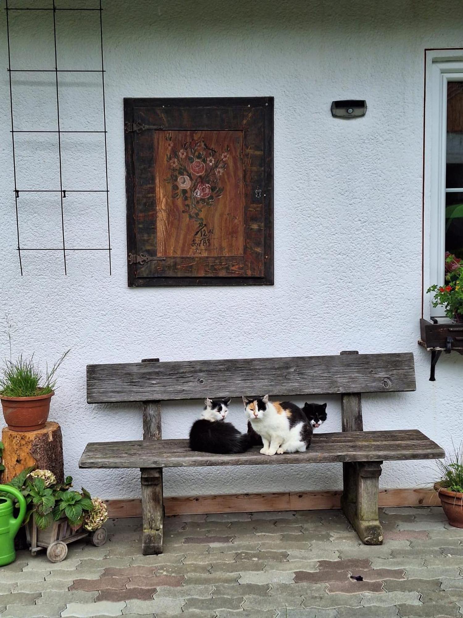 Ferienwohnung Boabauer Tamsweg Exterior foto